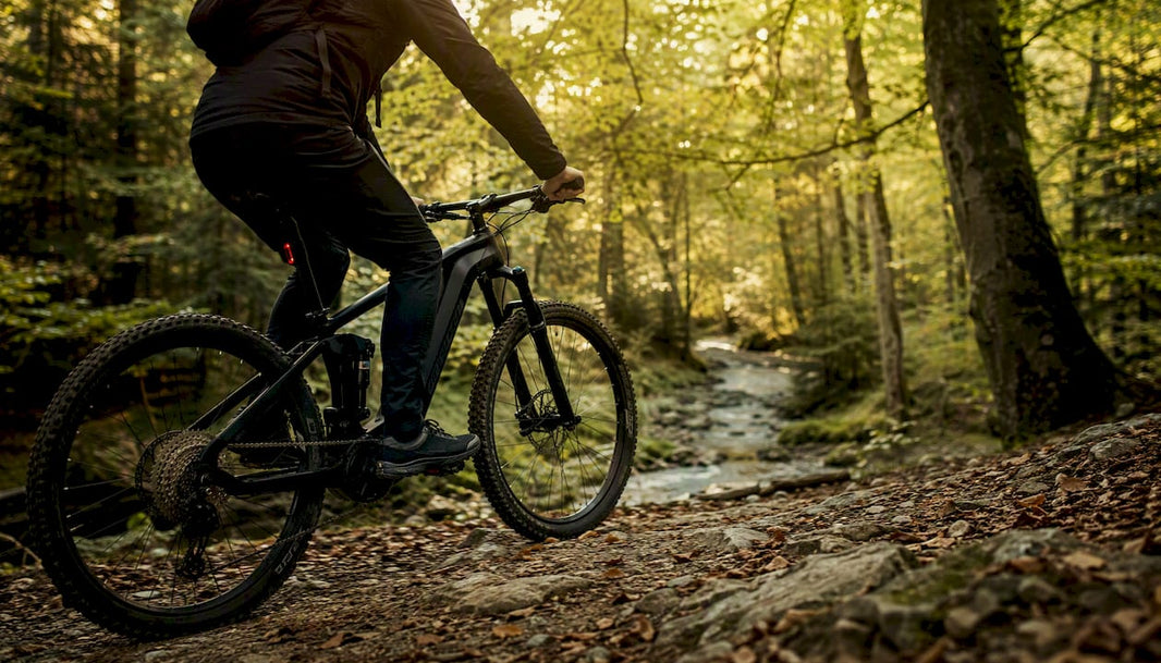 Een mountainbiker op een elektrische fiets rijdt over een bospaadje, gezien vanaf achteren.