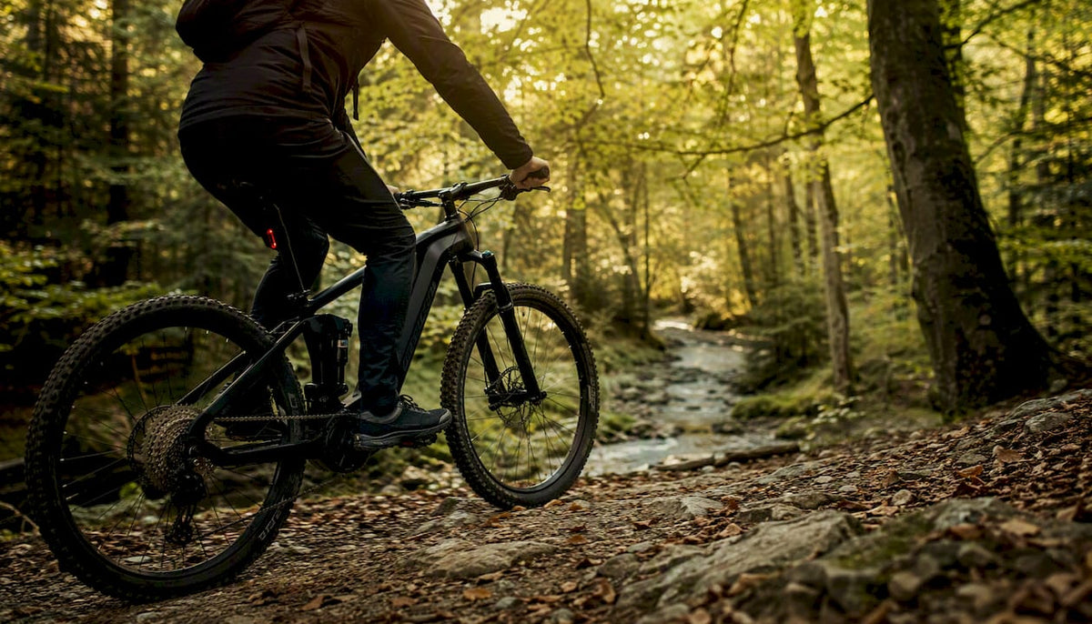 Een mountainbiker op een elektrische fiets rijdt over een bospaadje, gezien vanaf achteren.