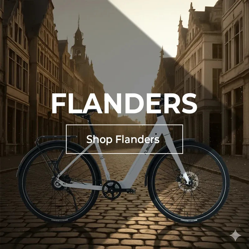Flanders e-bike in een Vlaamse straat met kasseien, bekijk de Flanders collectie