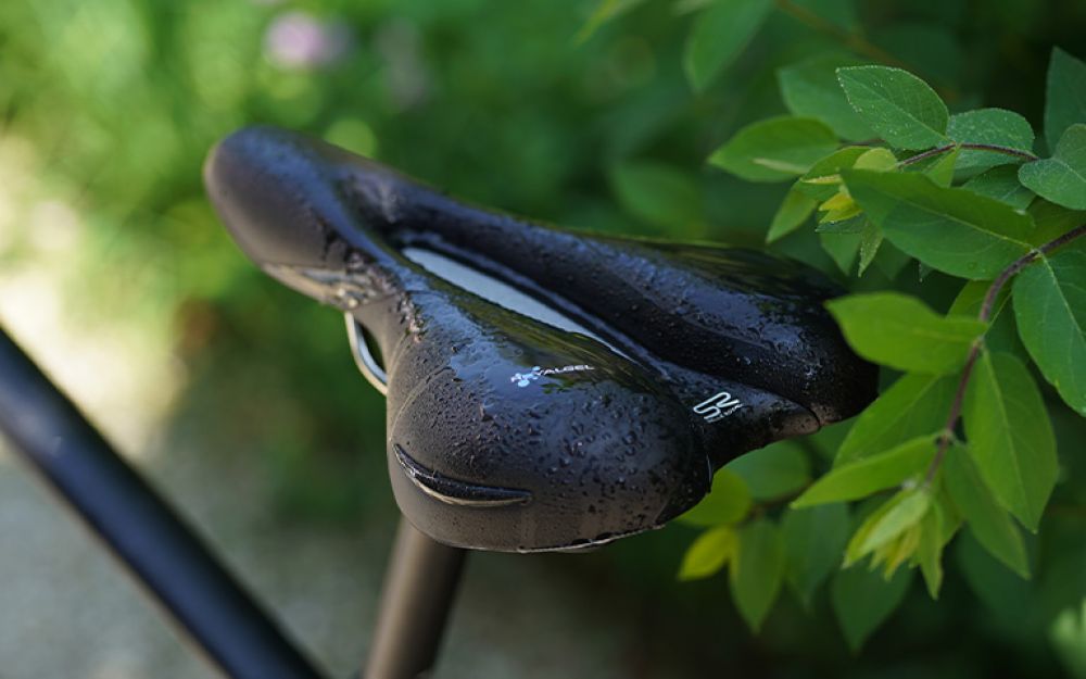 Selle Royal | Modérée | 60°
